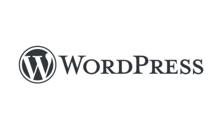 CMS: WordPress Logo